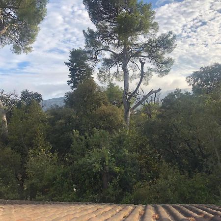 Les Magnolias Bed and Breakfast Marsiglia Esterno foto