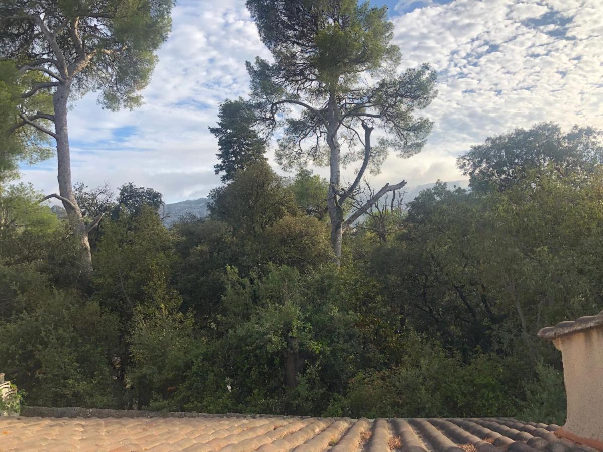 Les Magnolias Bed and Breakfast Marsiglia Esterno foto